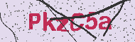 Captcha認証コード