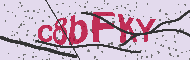 Captcha認証コード
